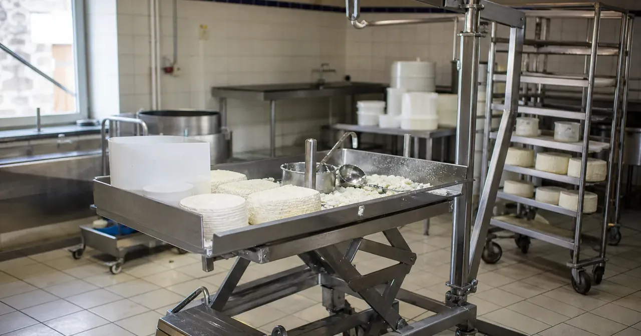 À la ferme, la fromagerie se pense aussi pour ménager les bras